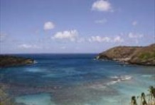 Grand Circle Island, Kualoa Ranch & Dole Plant